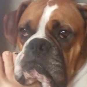 Meet your Posher, Jerry